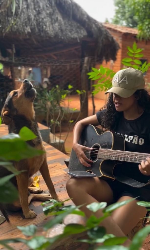 Uivado, voz e violão: cachorro faz ‘dueto’ com influenciadora e vídeo viraliza na internet