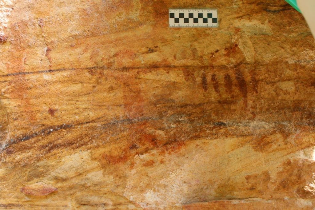 Paredões de rocha com tesouro arqueológico de até 2 mil anos são descobertos no Tocantins