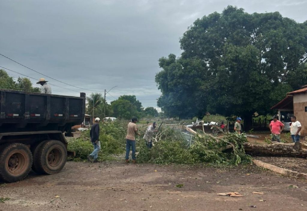 Temporal provoca queda de árvores, muros e telhados na região norte do Tocantins