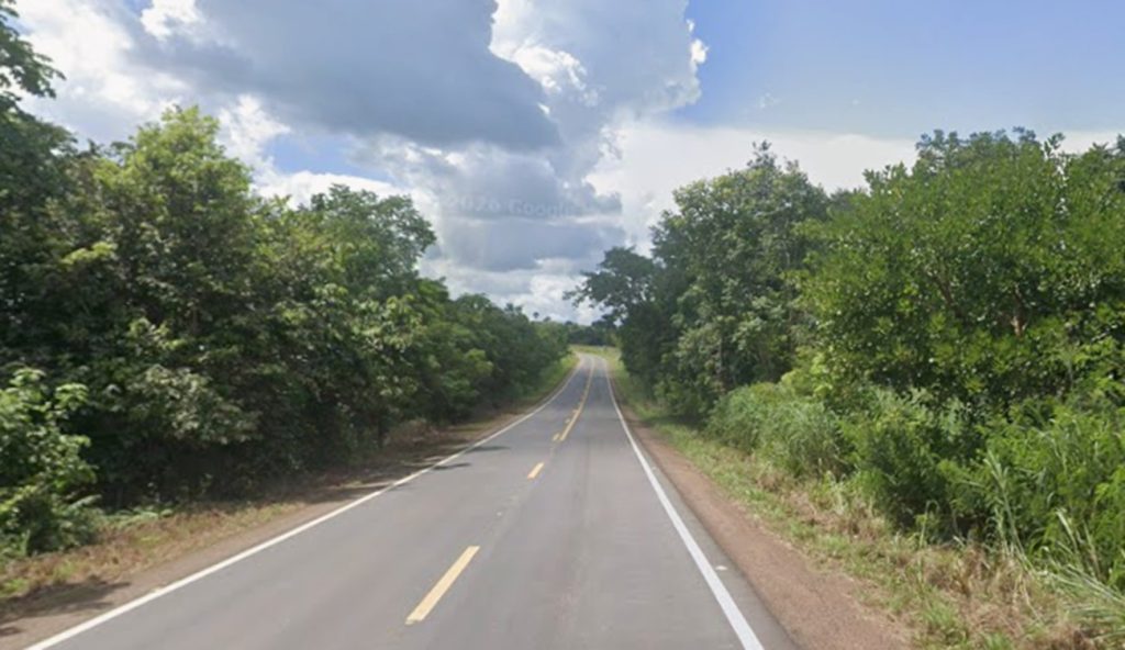 Uma pessoa morre após caminhonete sair da pista, bater em árvore e pegar fogo